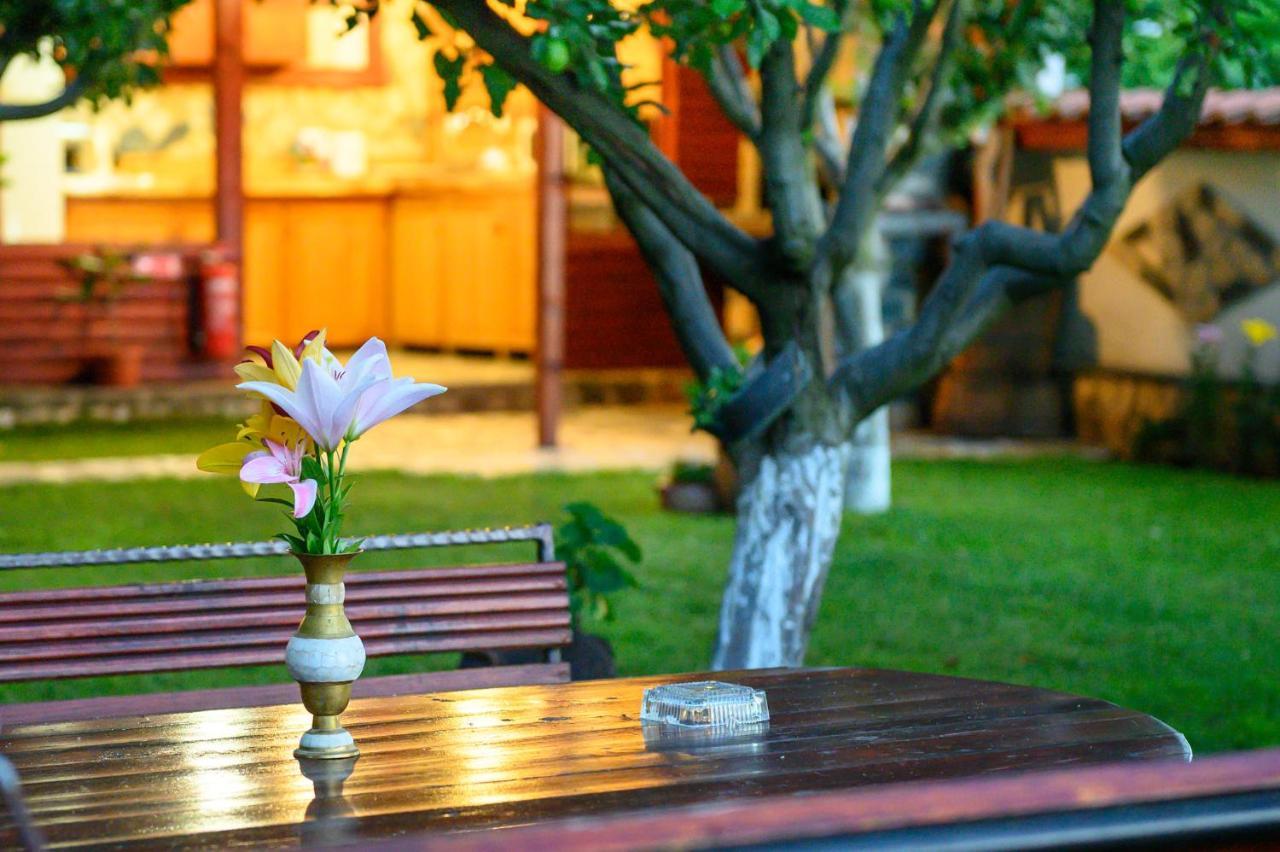 Medi Guest House Sapareva Banya Εξωτερικό φωτογραφία